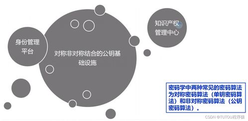 物聯(lián)網(wǎng)安全架構(gòu)、基礎(chǔ)設(shè)施與安全軟件開(kāi)發(fā) 構(gòu)建可信的互聯(lián)世界