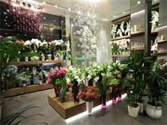 天津禮品花卉銷售 以花為禮，傳遞溫情與祝福