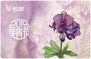 虹越黑五2019年宵花禮5折預(yù)售 一起動(dòng)手過(guò)新年，禮品花卉銷售引爆節(jié)日氛圍